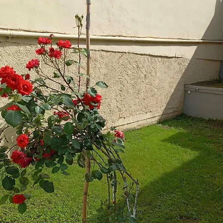 House & Garden